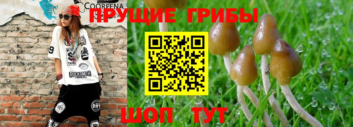 Псилоцибиновые грибы MAGIC MUSHROOMS  Вход с VPN  Семилуки 
